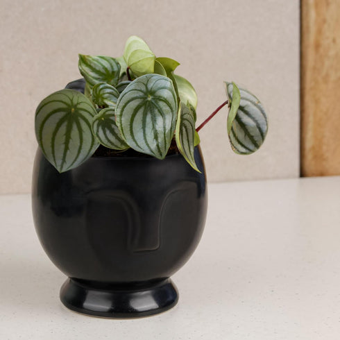 Black Human Face Ceramic Planter - The Earth Store - Vase